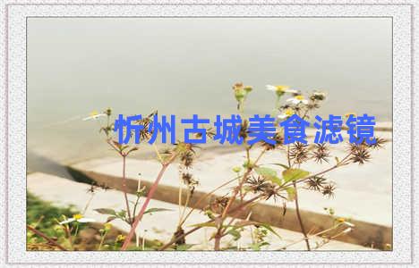 忻州古城美食滤镜